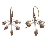 Fire Hook Earrings